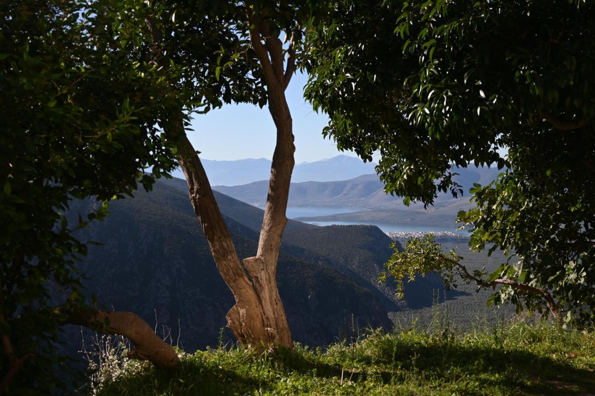 Komody Delphi Exteriör bild